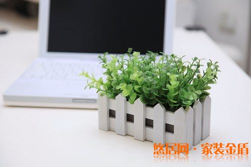 室內(nèi)盆栽選擇有哪些講究？ 